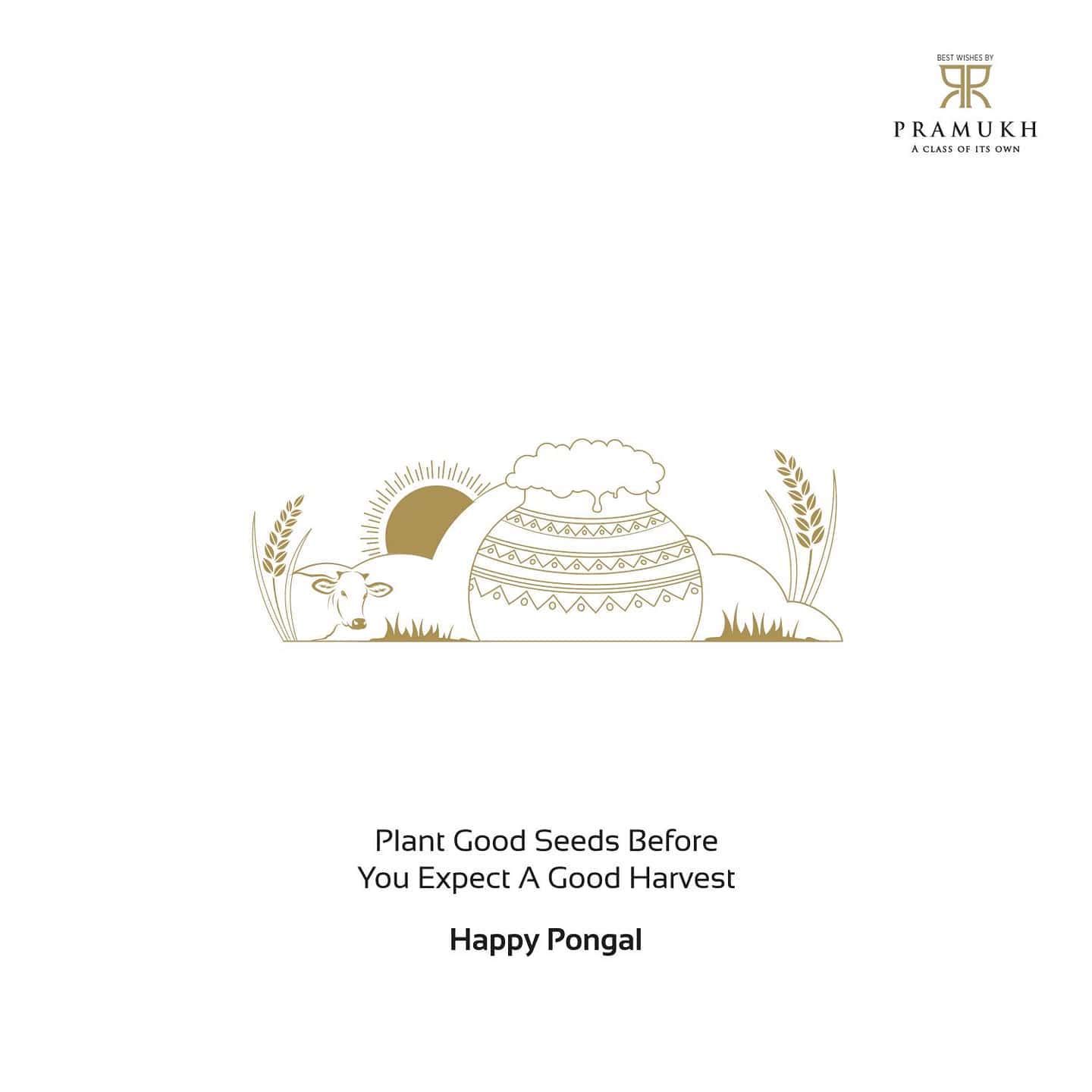 Pramukh Group,  PramukhGroup, RealEstate, AClassOfItsOwn, HappyPongal