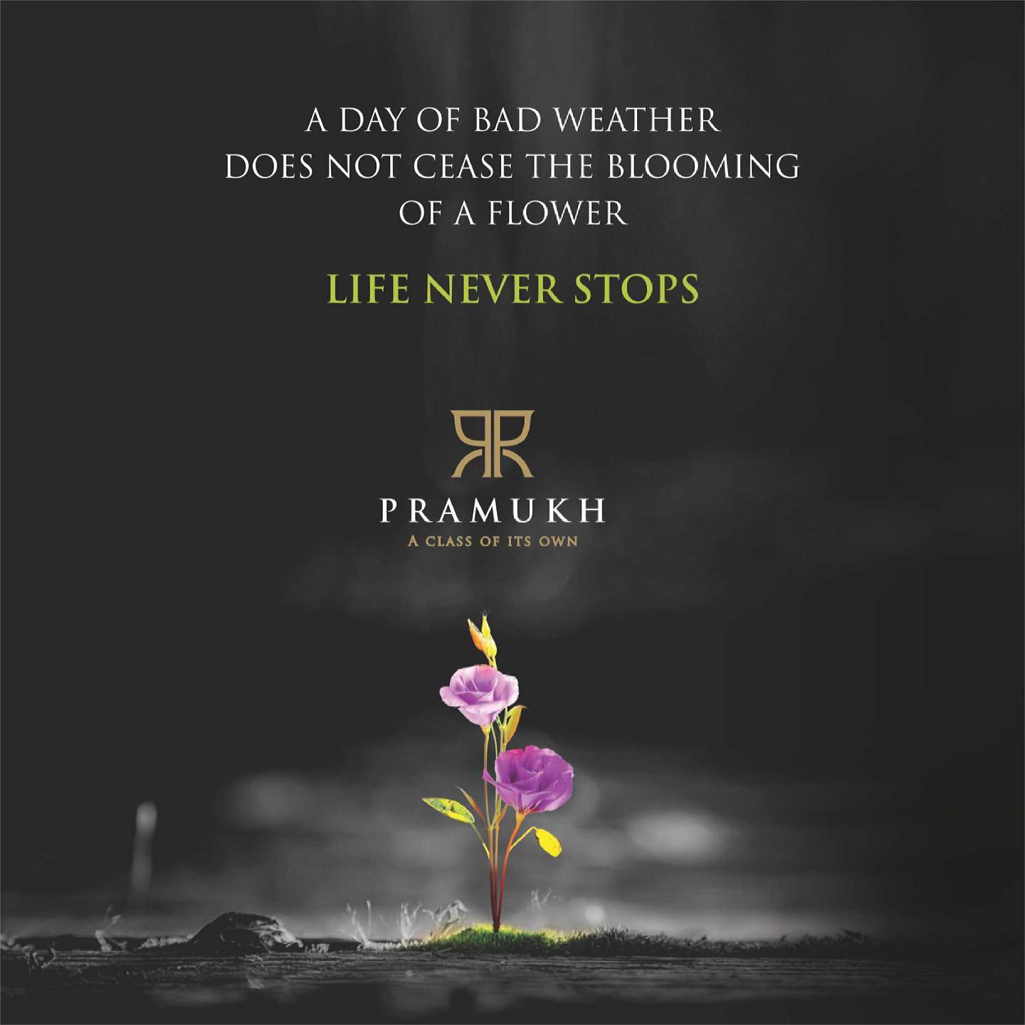 Pramukh Group,  PramukhGroup, RealEstate, Hope, Pandemic, COVID19, Growth